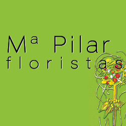 logo floristeria maria pilar & divina bloom